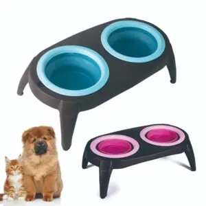 Luxury Double Silicone Pet Bowl with Elevated Standard for Dogs & Cats
