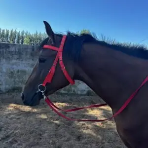Horse Halter Rope Riding Hose Bridle Fiber