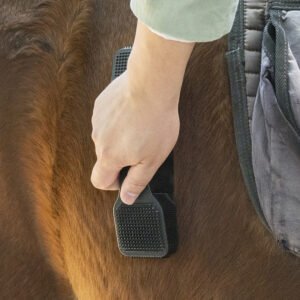 Personalized Horse Grooming Kit