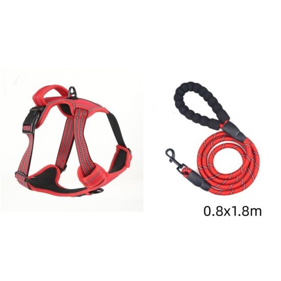 1f603527-fd39-4ced-8742-9536bcda80da.jpg 1f603527-fd39-4ced-8742-9536bcda80da.jpg